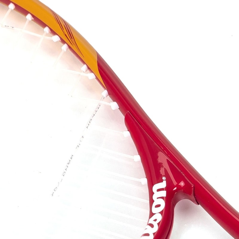 image_498448b6-3ae5-4a7c-8f1f-b437665605fd