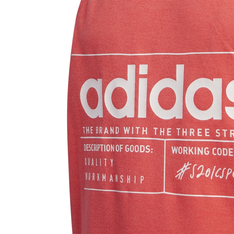 image_231f1e3f-4d6e-4168-abcf-64fe2e0d4bd3