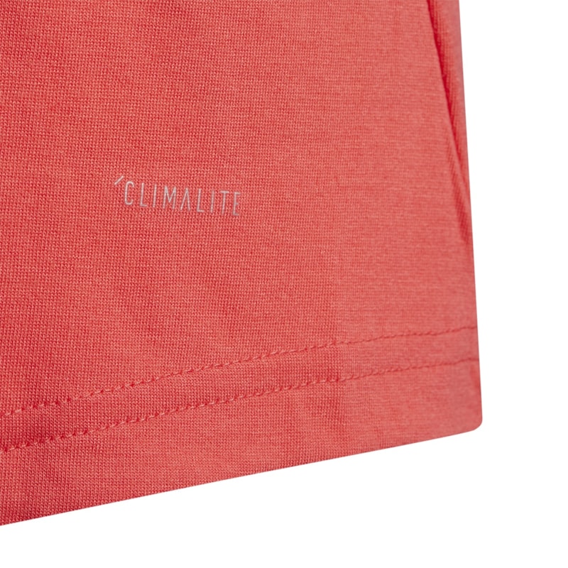 image_2b3e45d1-1896-491a-9099-514004c6d018