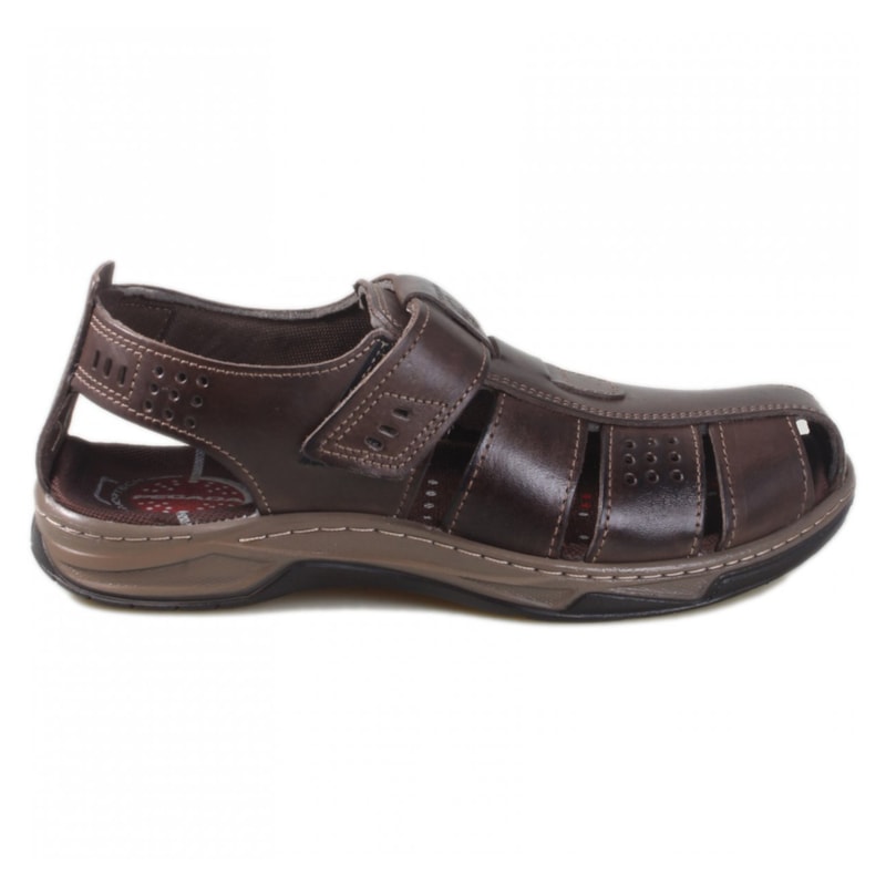 image_304e0365-7ba9-4801-bfcd-1cea517a7ecd