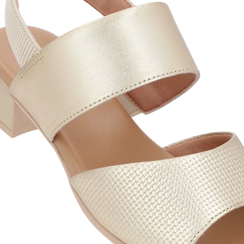 image_e2ea9cdd-a054-4f35-b661-8d35ca1930dd