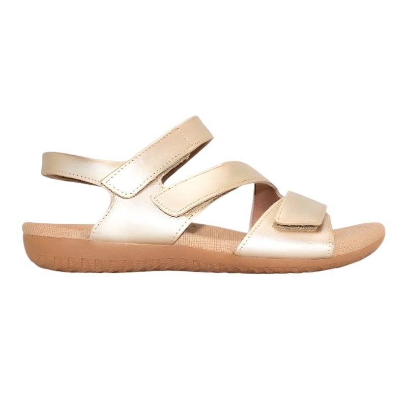 image_eba56dc2-ca7a-4717-8949-bb5312bc98db