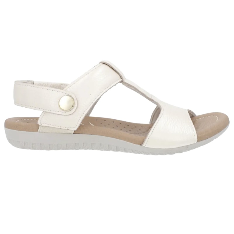 image_47f06859-1001-4376-ae82-e7494997b7fa