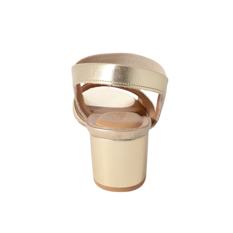 image_56562b61-55da-4acc-b157-1c04b1d03548