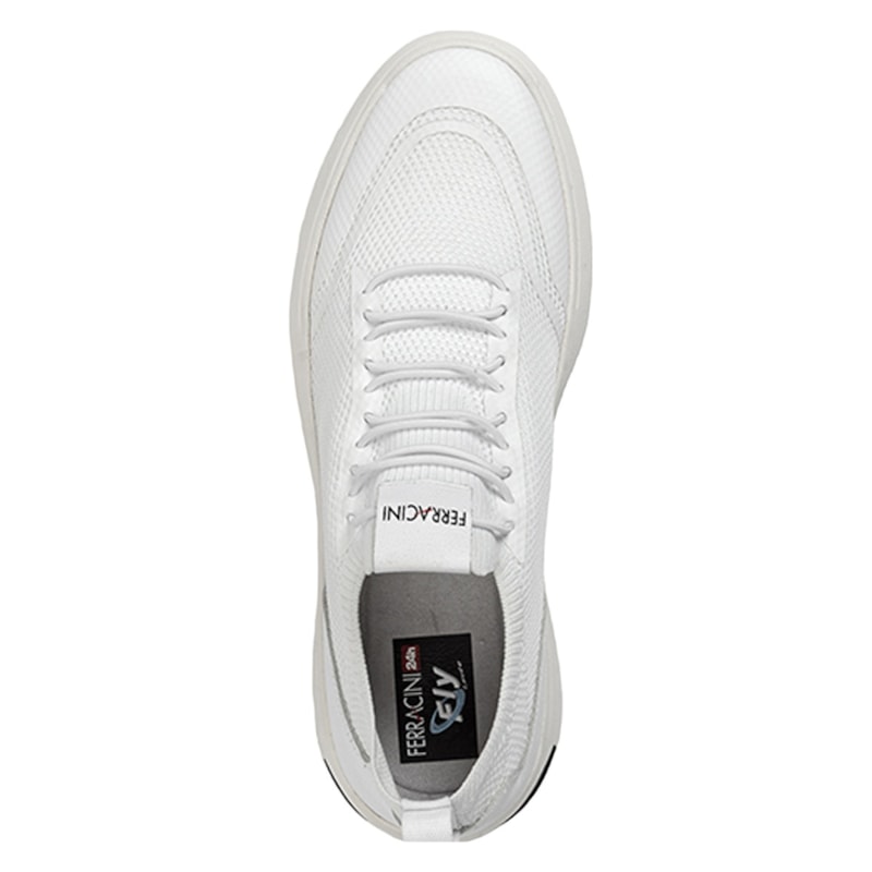 image_9350e9b4-1ffd-4313-8d98-edfeee59f4be