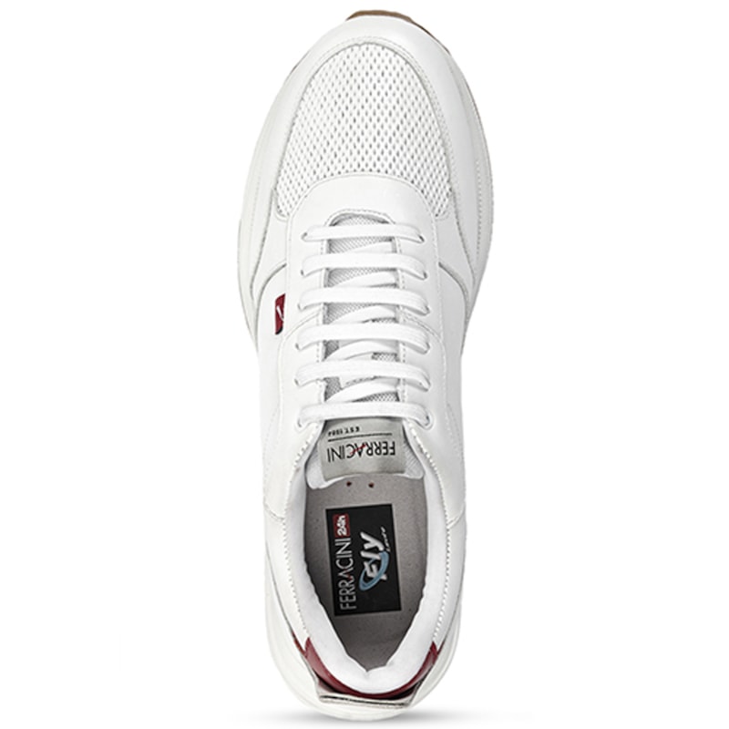 image_e380773e-a269-4947-a499-77ad80dcd60a