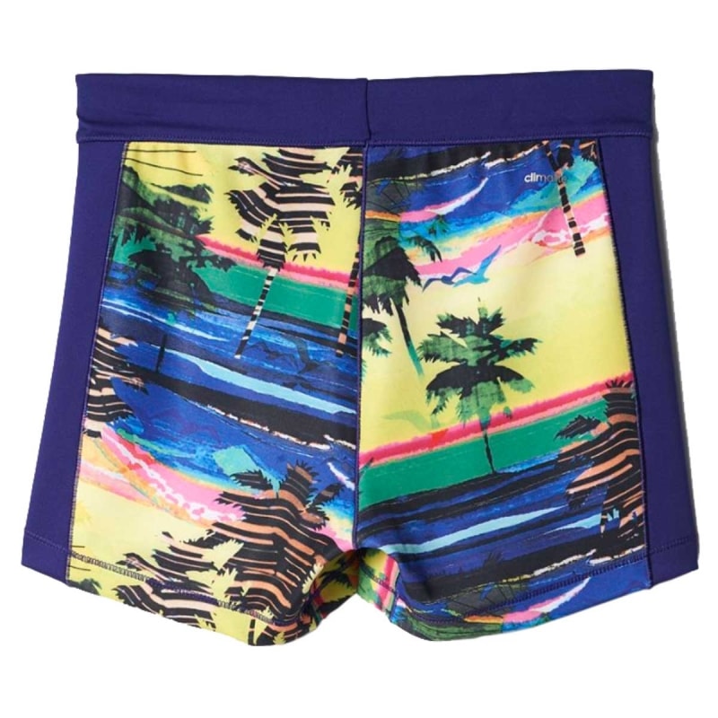 image_bcb18295-2b54-4d9c-900d-afe15aea8554