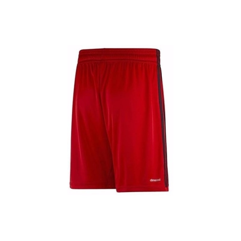 image_9b385369-db82-439e-88f1-c157522a551a