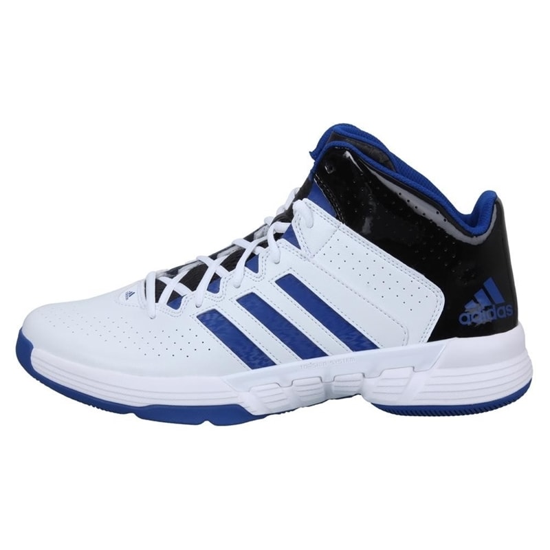 image_e38af7fb-586a-46ee-a910-0a2c6a002f9d