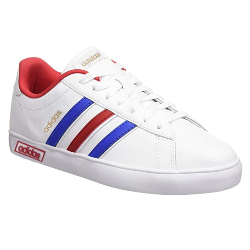 image_b3f723f9-a539-4c48-85cf-f2de17244c2e