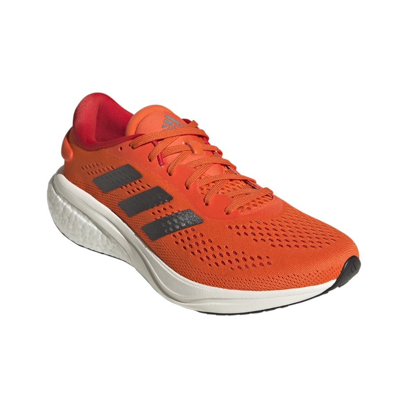 image_3295a45c-ed54-4ed1-92b0-2e7cdde90f7f