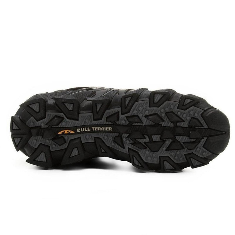 image_afe4787b-d684-4f77-a8f8-51aebd361acd