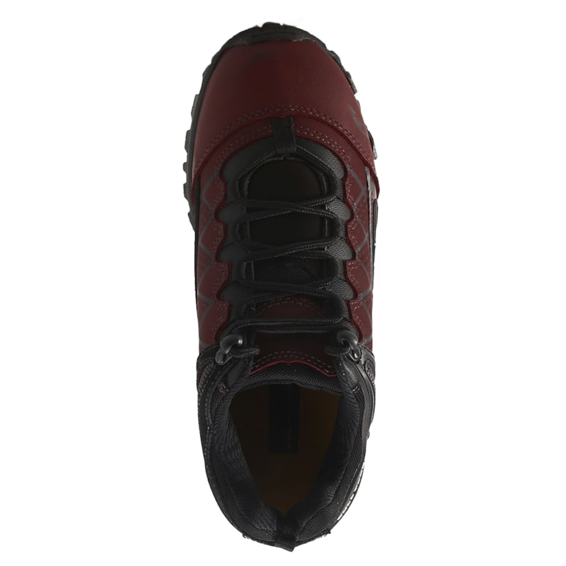 image_2515d8d3-6353-4636-b83a-b5ecfd7cd9cc