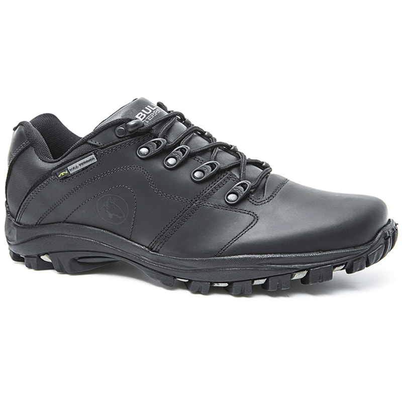 image_bd2b7acf-2b89-46d5-bfc3-6916033ccc42