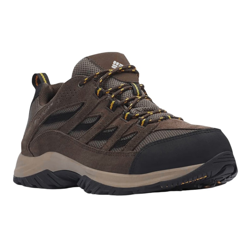 image_24b0addd-bb5a-49b8-85b4-a20503819384