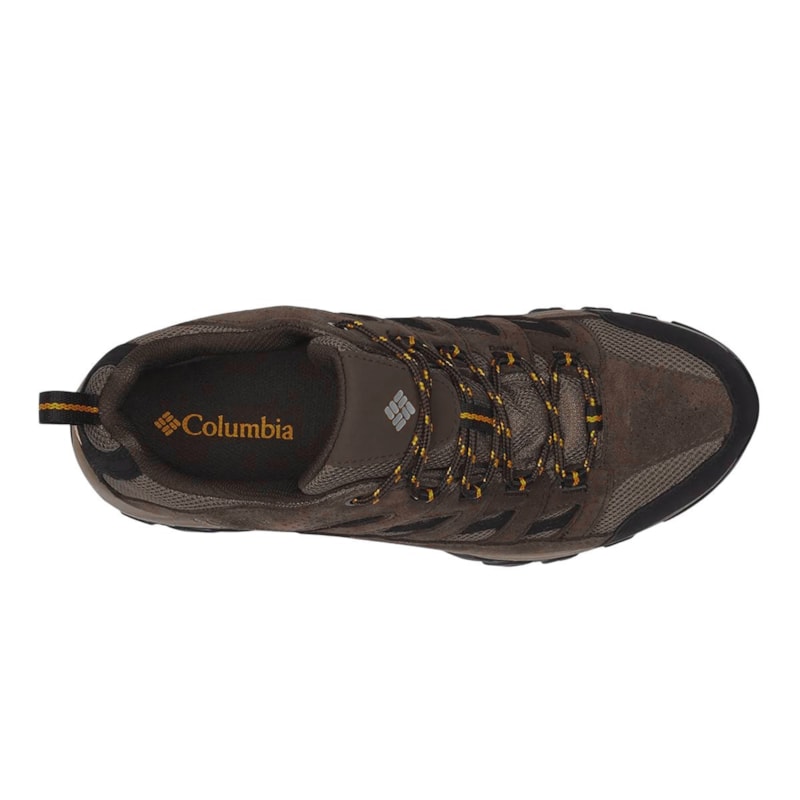 image_bb383c8b-3883-435e-afb7-adeffc41d707