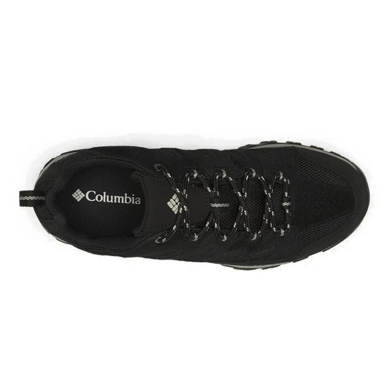 image_1e8fc00e-110d-49a0-b089-c1f84c9a4d8d