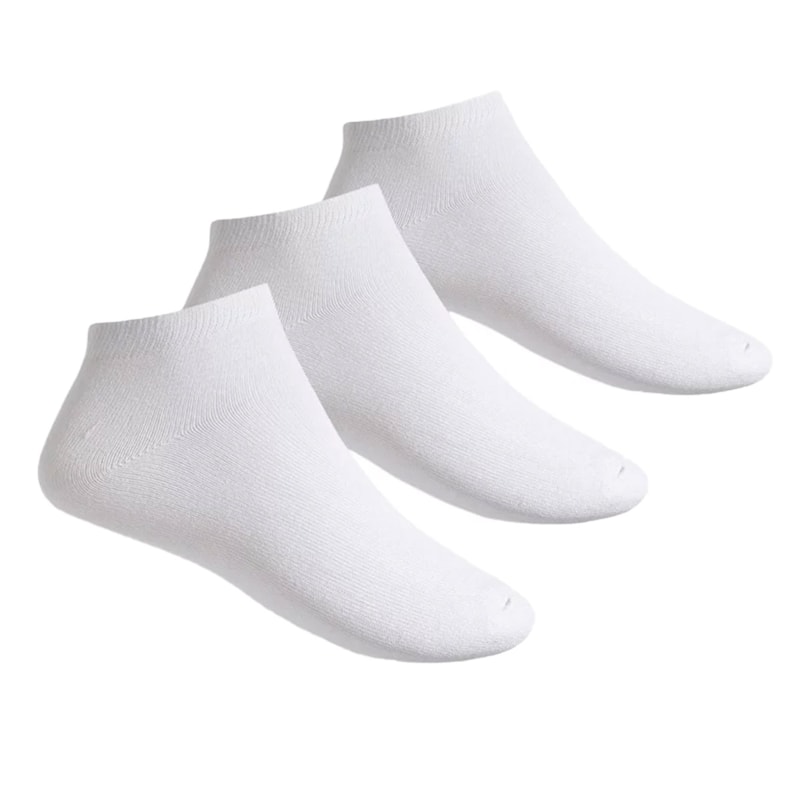 image_7fb7a70c-495c-40be-98cc-3d083b8160f0