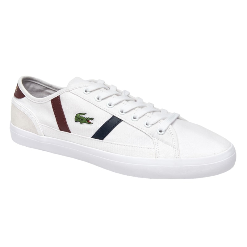 image_6e87bda8-79d9-409b-b629-c9b23ba1c8e8