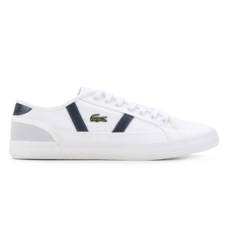 image_785a9bdd-4de2-4ef5-92fe-a783048caa31