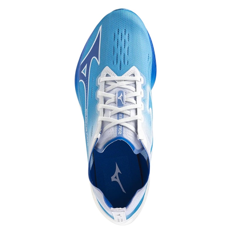 image_0a54038c-9136-46c9-aae8-cd15394a3fd6