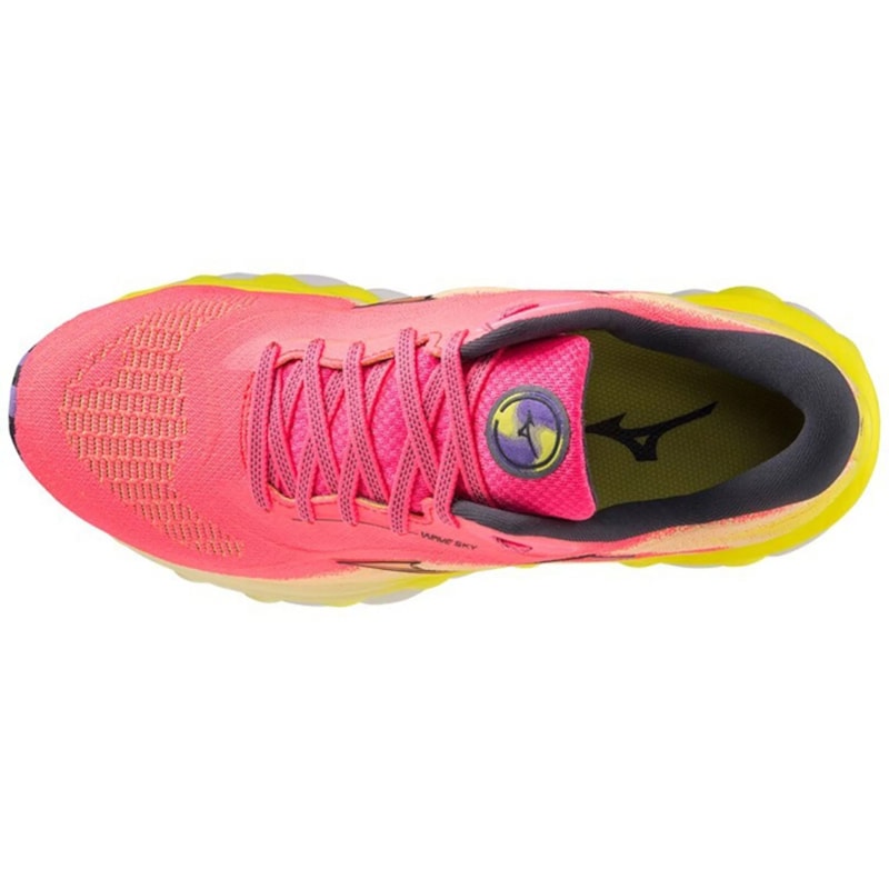 image_805336e2-e89b-4d29-9873-ae90b0ee8691