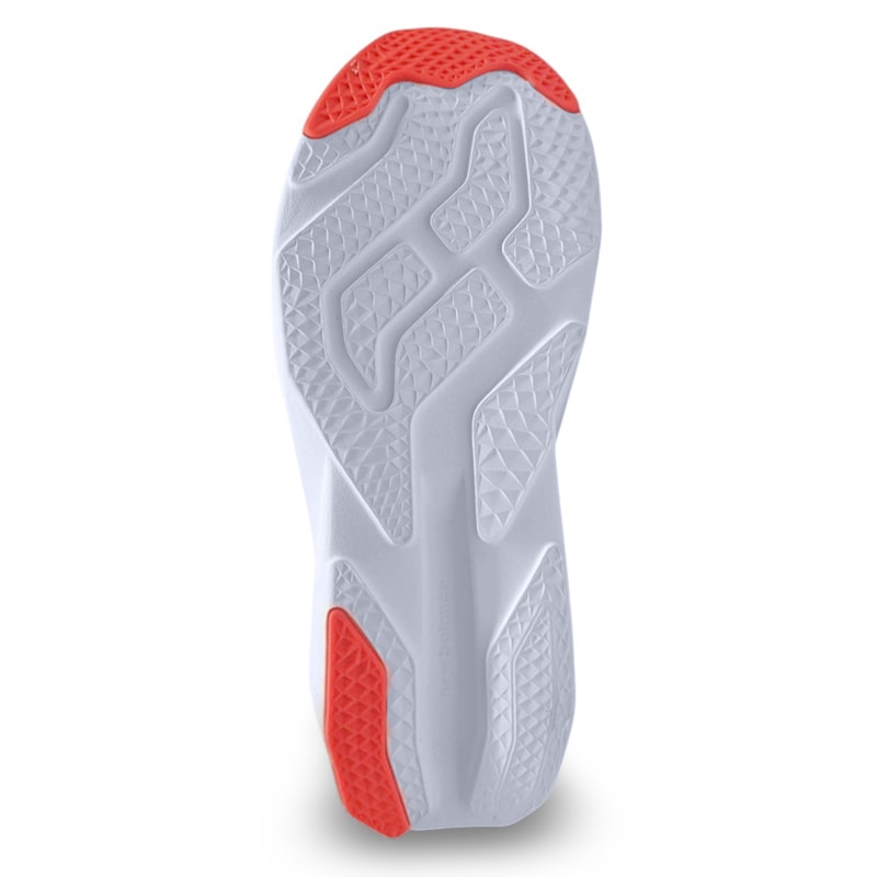 image_962d635d-a556-4c32-9b16-1fb29c818b22