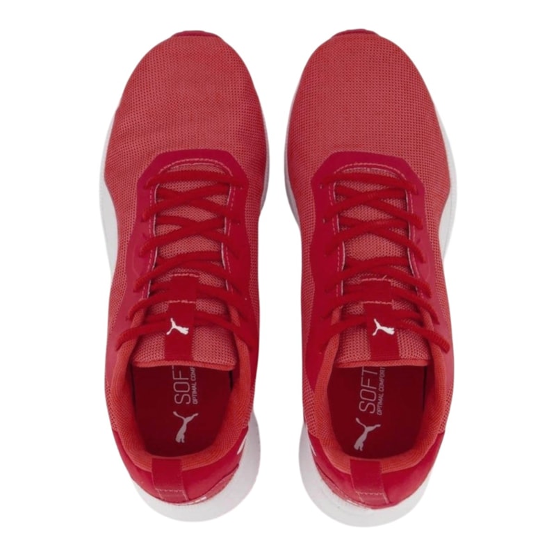 image_c0a1ccae-2ea8-4eaa-b77d-76fdd09e15e3