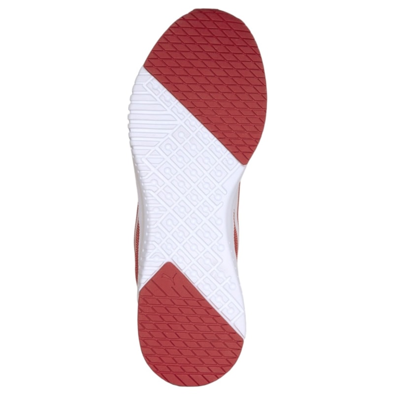 image_9f286687-2786-4848-a0f9-b81541cf426d