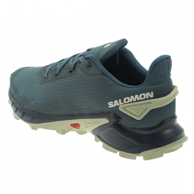 image_747ffa77-03ed-4b23-9cb3-cfa37c8b561b