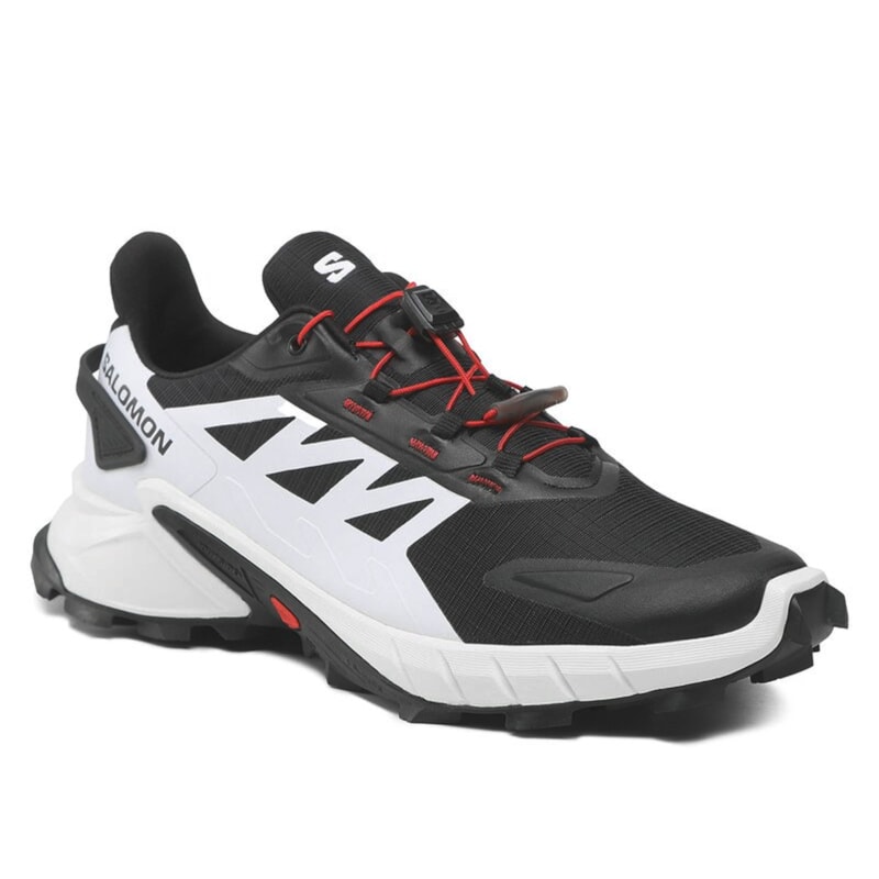 image_a8970de3-0466-45e0-a8c6-dfe5a8fd9740